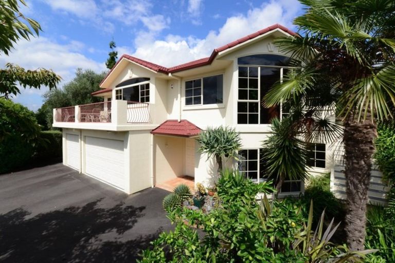 Photo of property in 19 Stella Place, Chartwell, Hamilton, 3210