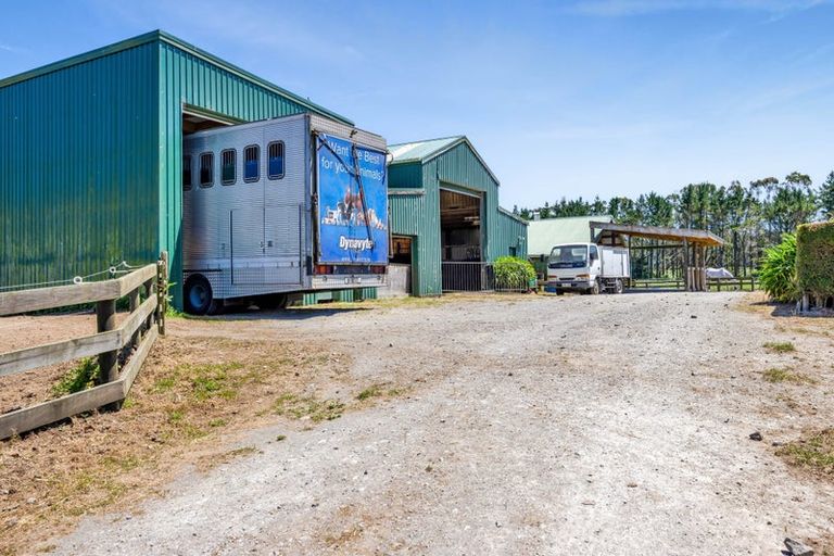 Photo of property in 1 Waingongoro Road, Cardiff, Stratford, 4391