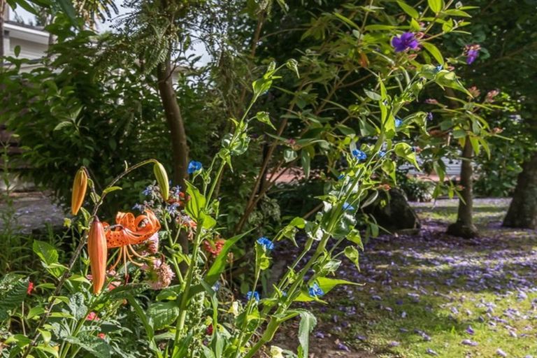 Photo of property in 11 Konini Grove, Raumati Beach, Paraparaumu, 5032