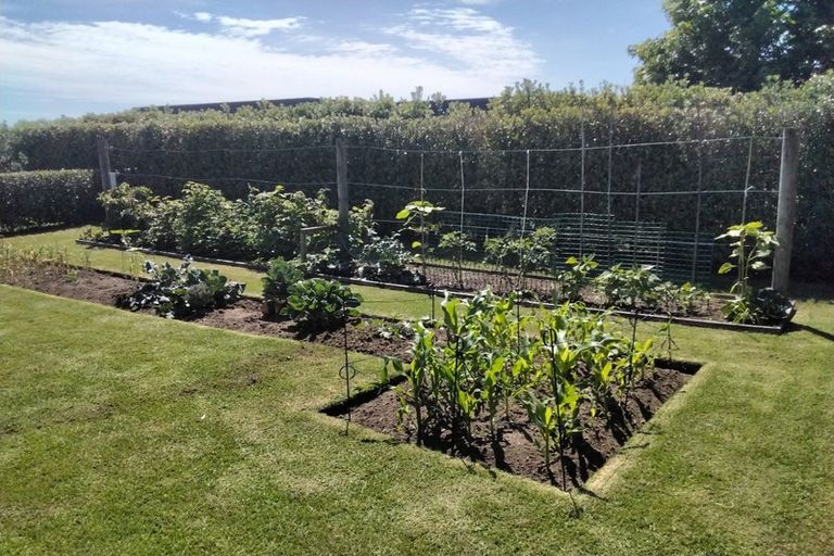 Photo of property in 55c Pukakura Road, Katikati, 3178