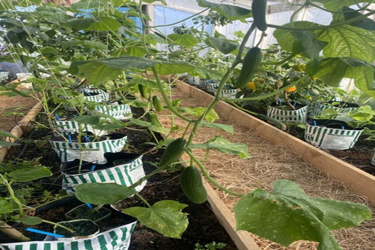 Photo of property in 291 Kaiwaka-mangawhai Road, Kaiwaka, Wellsford, 0975