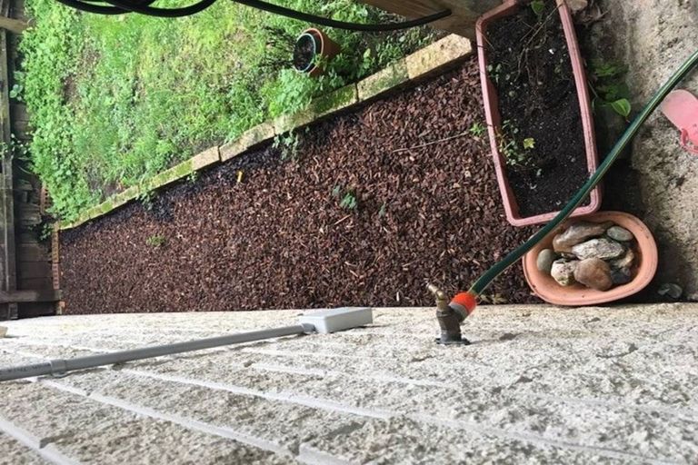 Photo of property in 2/21 Cosy Place, Howick, Auckland, 2014