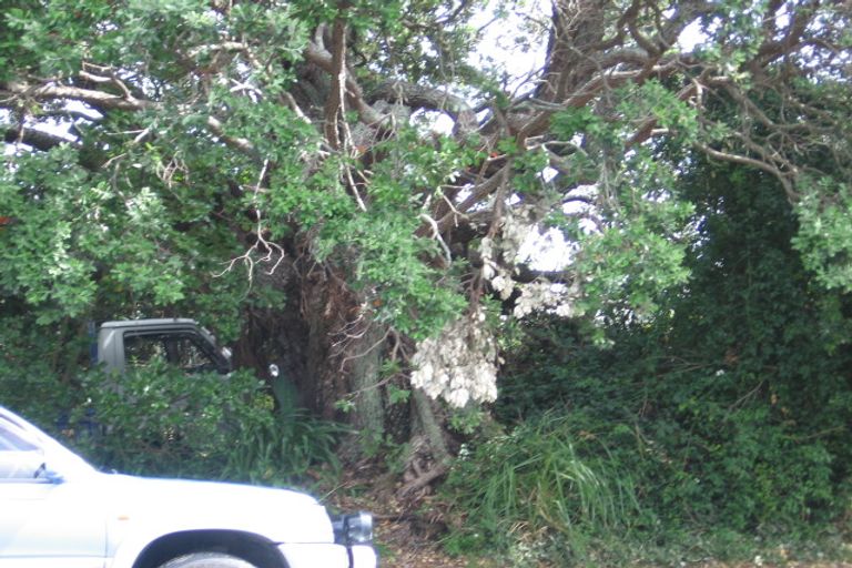 Photo of property in 1/116 East Coast Road, Forrest Hill, Auckland, 0620