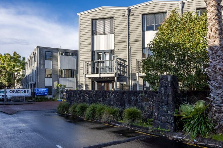 Photo of property in 39 Dovedale Place, Parnell, Auckland, 1010