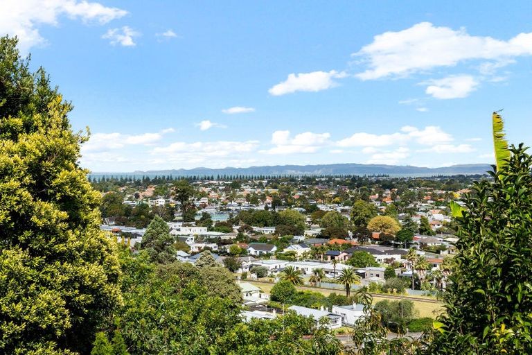 Photo of property in 33 Simla Terrace, Hospital Hill, Napier, 4110