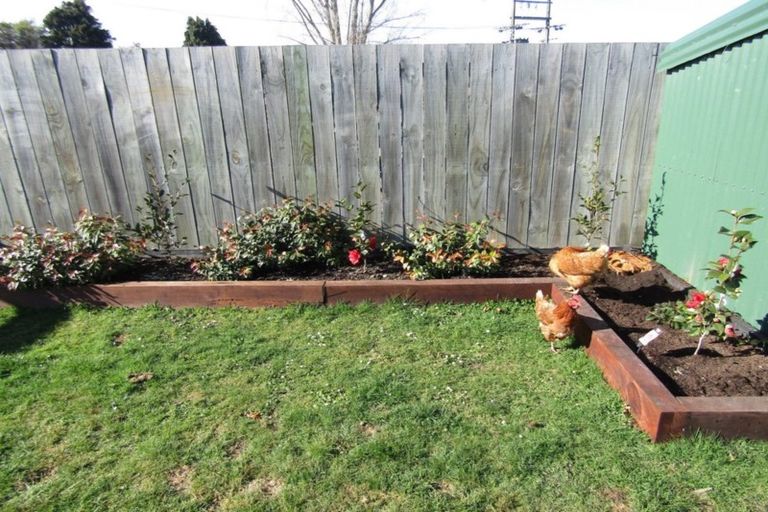 Photo of property in 3 Price Street, Waimate, 7924