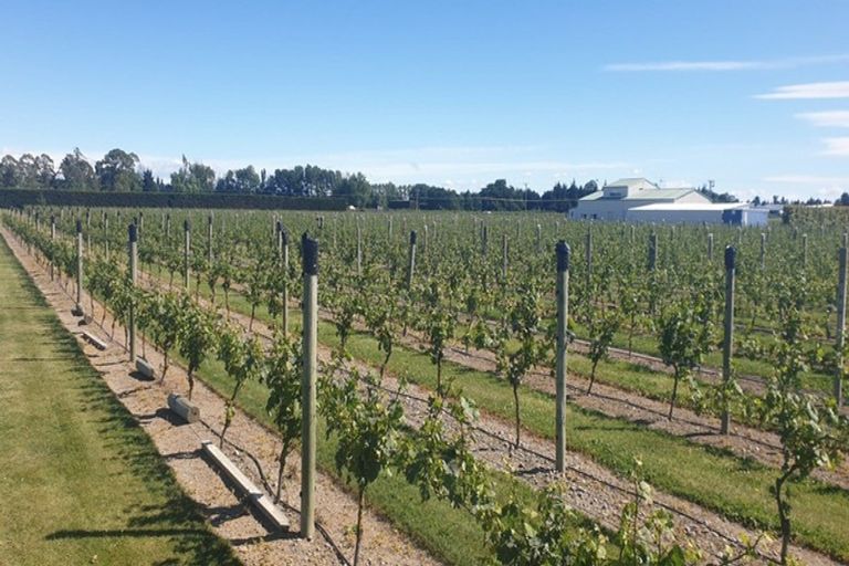 Photo of property in 22 Laings Road, Tinwald, Ashburton, 7775