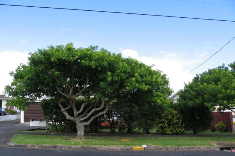 Photo of property in 1/121 Gardner Avenue, New Lynn, Auckland, 0600