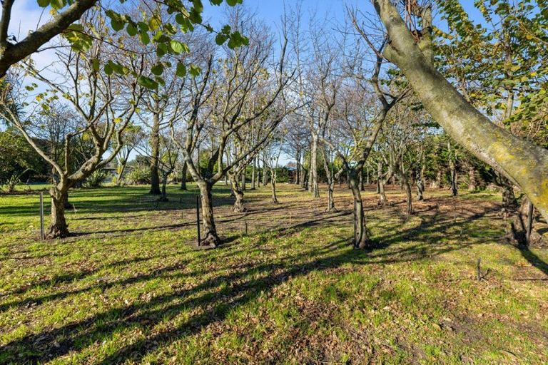 Photo of property in 8 Pattons Road, Mount Somers, 7771