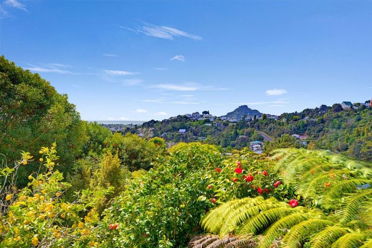 Photo of property in 58 Windsor Drive, Tairua, 3508