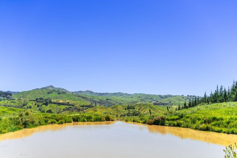 Photo of property in 171 Darwin Road, Outer Kaiti, Gisborne, 4010