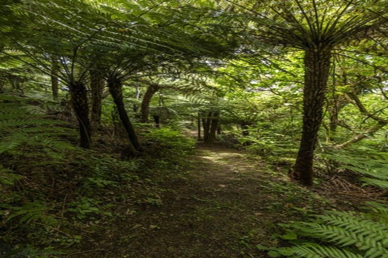 Photo of property in 126 Waihirere Drive, Tuateawa, Coromandel, 3583