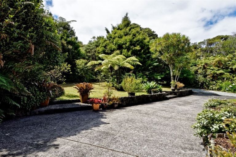 Photo of property in 256 Piha Road, Piha, New Lynn, 0772