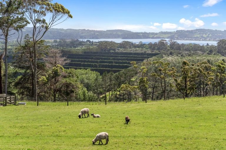 Photo of property in 201 Takatu Road, Tawharanui Peninsula, Warkworth, 0986