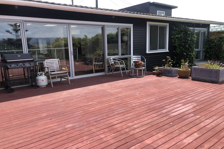 Photo of property in 181 Buckley Road, Southgate, Wellington, 6023