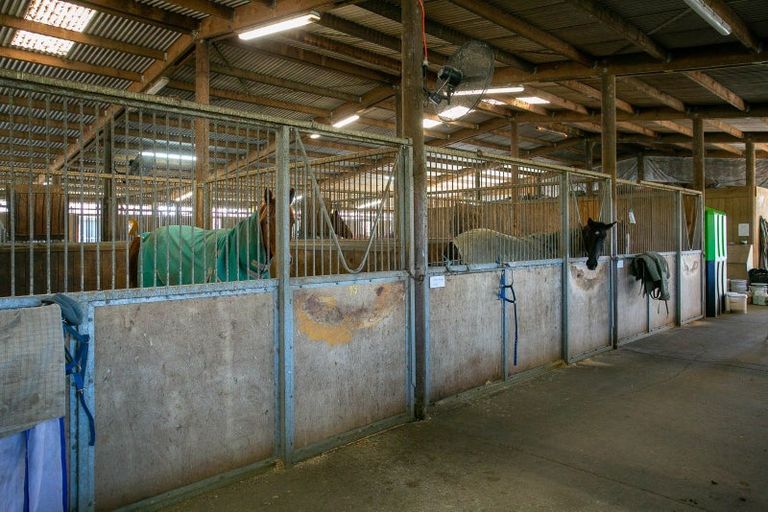 Photo of property in 49 Racecourse Road, Cambridge, 3493