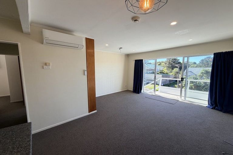 Photo of property in 1/22 Mccoll Street, Vogeltown, Wellington, 6021
