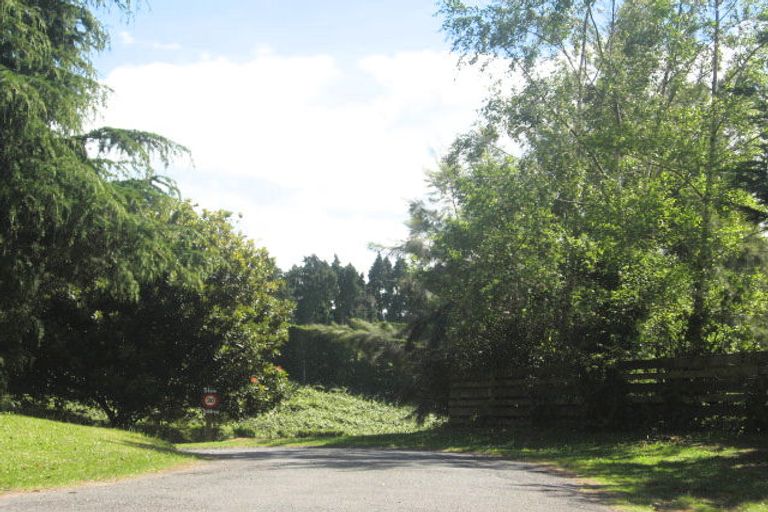 Photo of property in 376d Youngson Road, Whakamarama, Tauranga, 3179