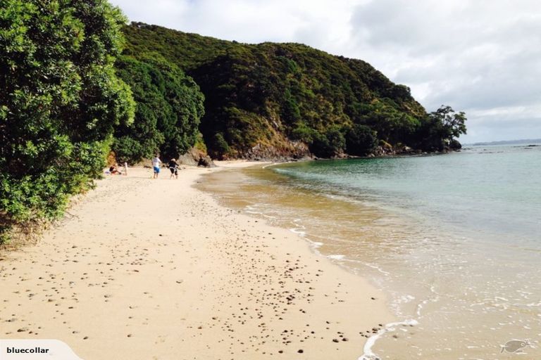 Photo of property in 193 Huaroa Road, Russell, 0272