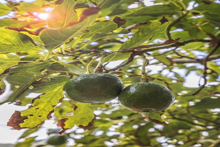 Photo of property in 66 Eden Street, Island Bay, Wellington, 6023