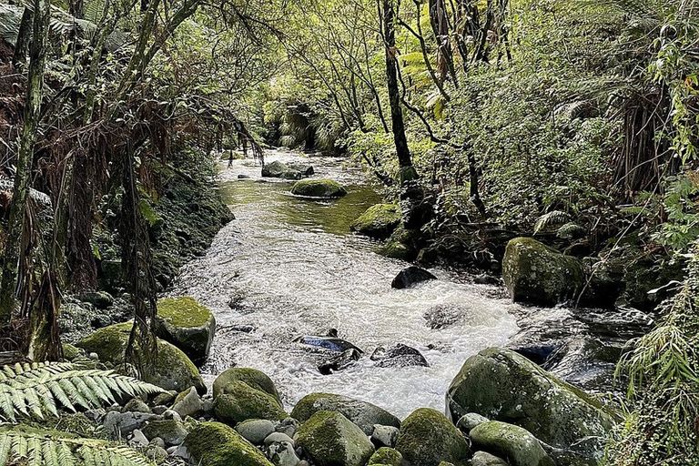 Photo of property in 1291 Carrington Road, Hurworth, New Plymouth, 4371