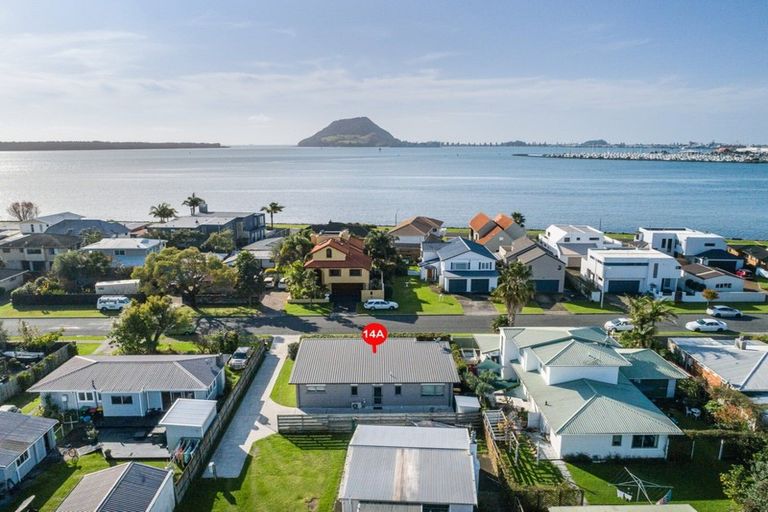 Photo of property in 14a Kulim Avenue, Otumoetai, Tauranga, 3110