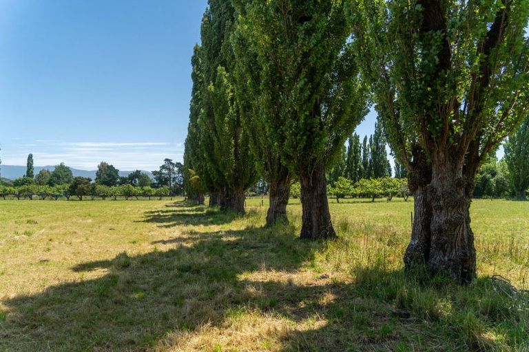 Photo of property in 44a Kempton Street, Greytown, 5712