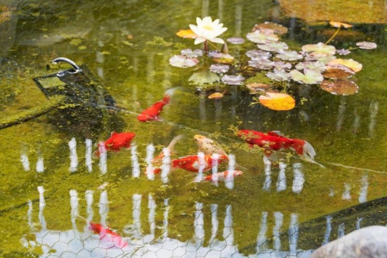 Photo of property in 4 Pemberton Crescent, Greerton, Tauranga, 3112