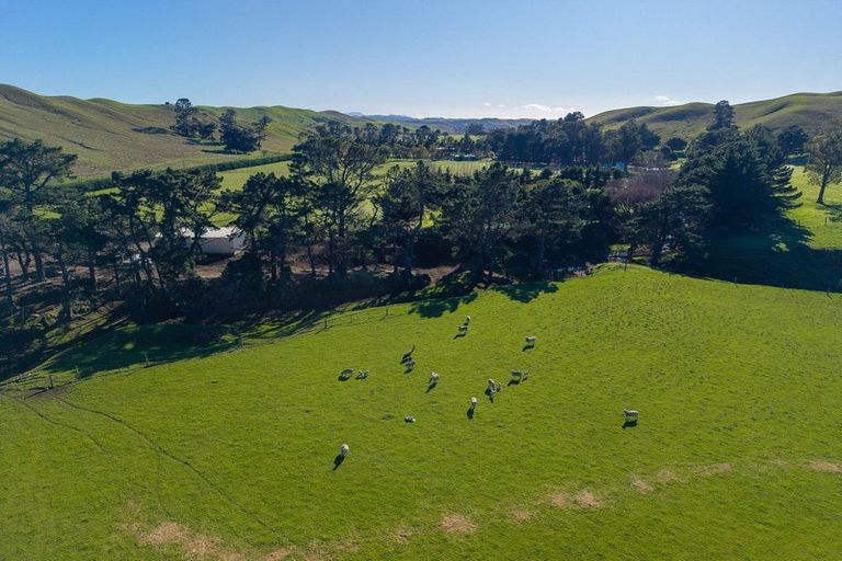 Photo of property in 453 Tetley Brook Road, Seddon, 7285