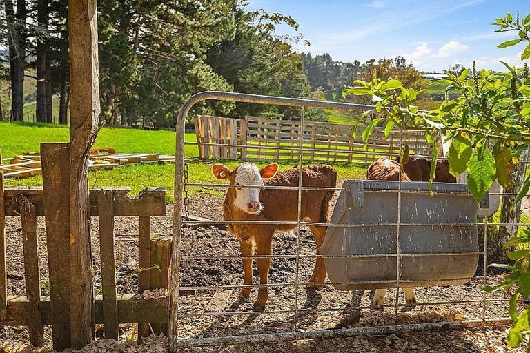 Photo of property in 65 Annett Road, Kumeu, 0891