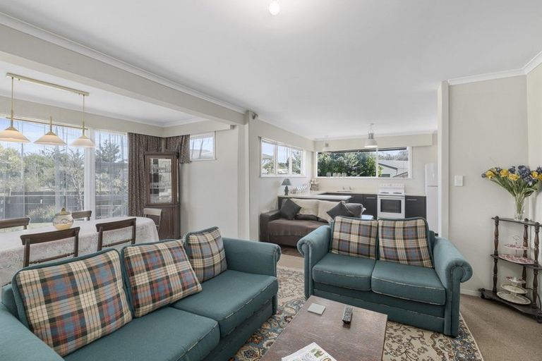 Photo of property in 11 Derby Street, Levin, 5510