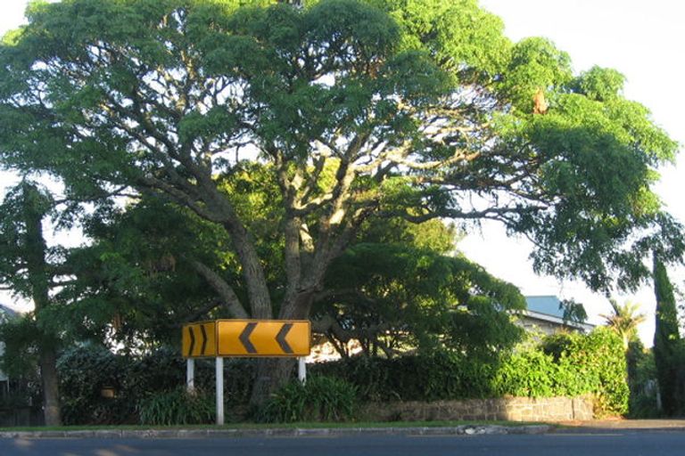 Photo of property in 3/70 Saint Johns Road, St Johns, Auckland, 1072