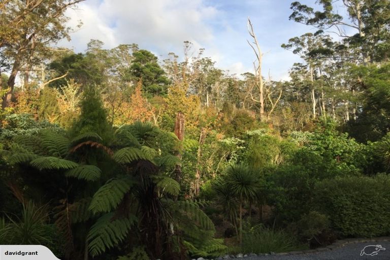 Photo of property in 8 Kerikeri Grove, Kerikeri, 0230