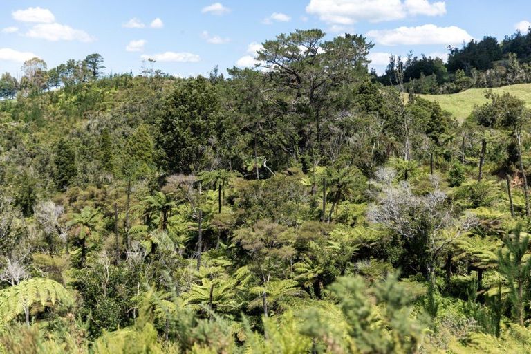 Photo of property in 425 Hot Springs Road, Tahawai, Katikati, 3178