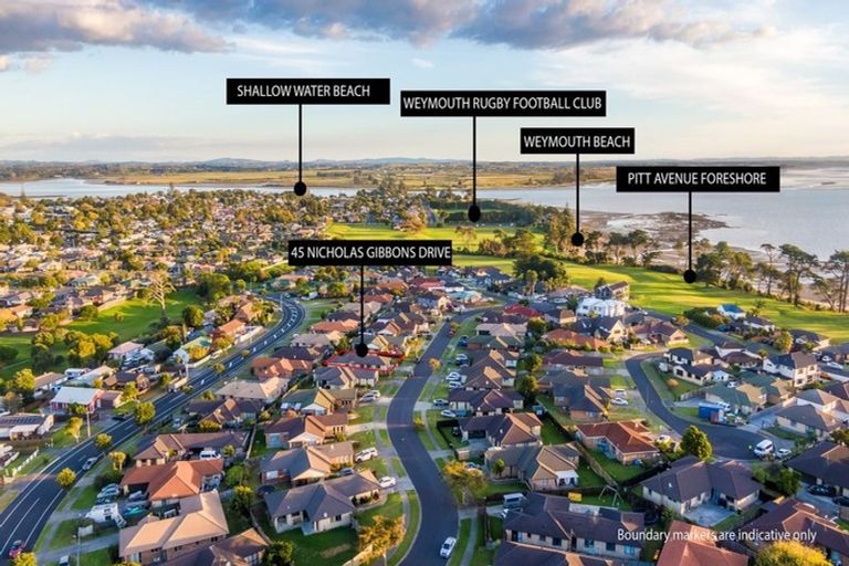Photo of property in 45 Nicholas Gibbons Drive, Clendon Park, Auckland, 2103