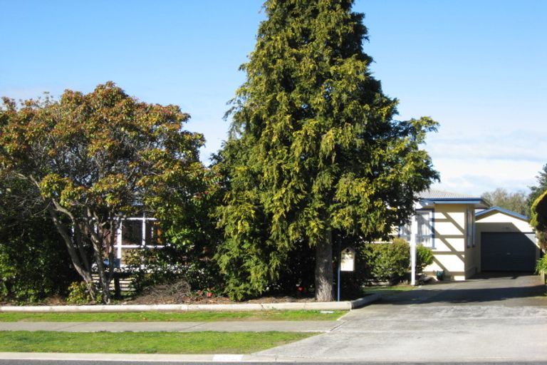 Photo of property in 5c Holyrood Terrace, Waipukurau, 4200
