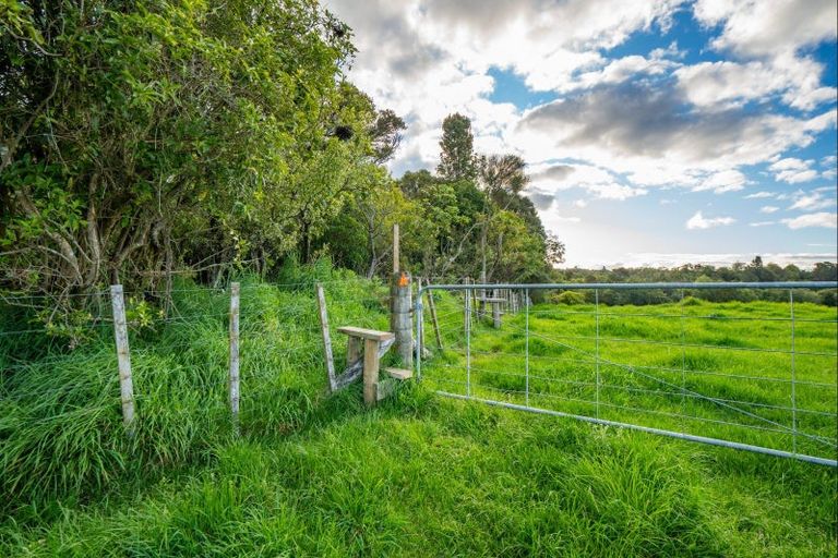 Photo of property in 431 Kawakawa Road, Marotiri, Taupo, 3377