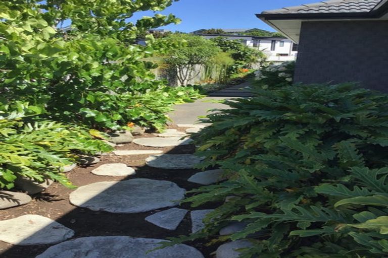 Photo of property in 65 Bert Wall Drive, Omokoroa, 3114