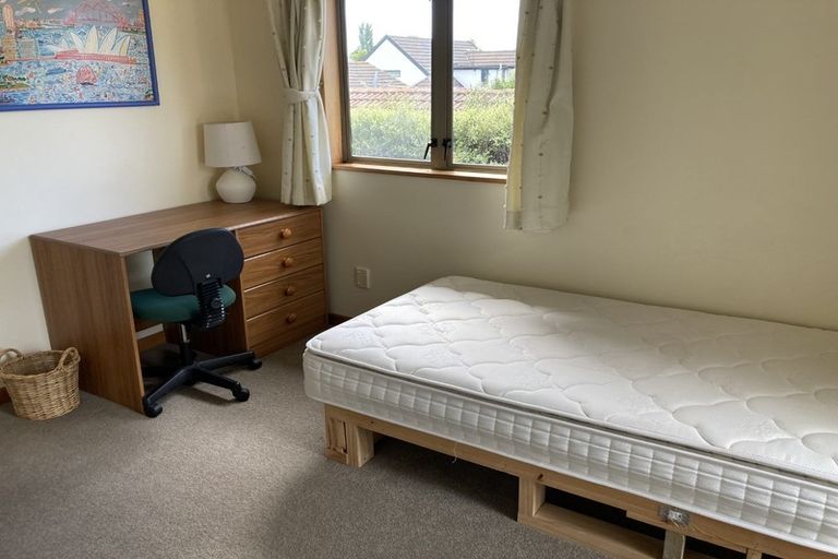 Photo of property in 91 Creyke Road, Ilam, Christchurch, 8041