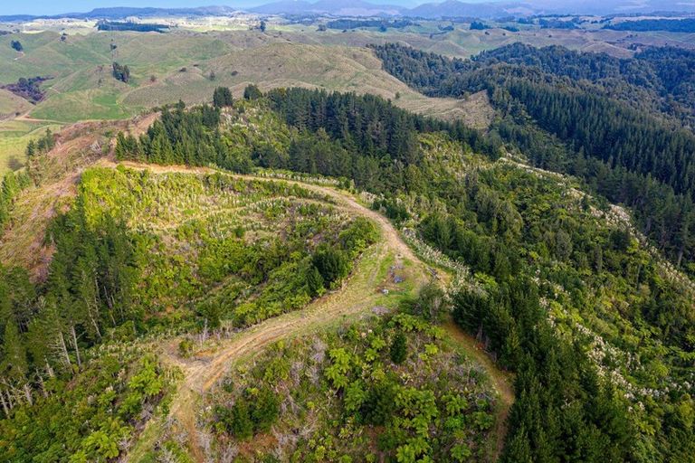 Photo of property in 31 Tarver Lane, Pikowai, Whakatane, 3194