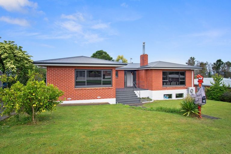 Photo of property in 12 Sholson Street, Putaruru, 3411