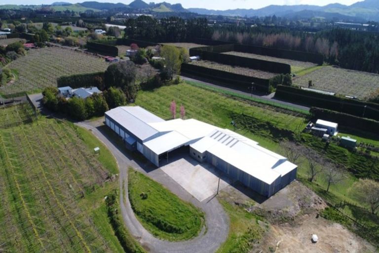 Photo of property in 591a No 1 Road, Te Puke, 3182