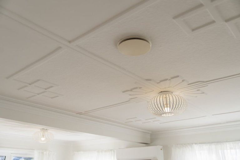 Photo of property in 193 Helensburgh Road, Wakari, Dunedin, 9010