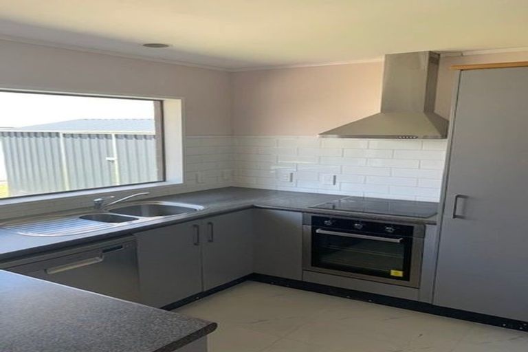 Photo of property in 209 Walter Strevens Drive, Conifer Grove, Takanini, 2112