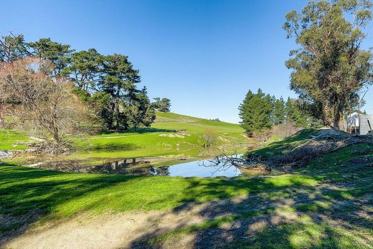 Photo of property in 453 Tetley Brook Road, Seddon, 7285