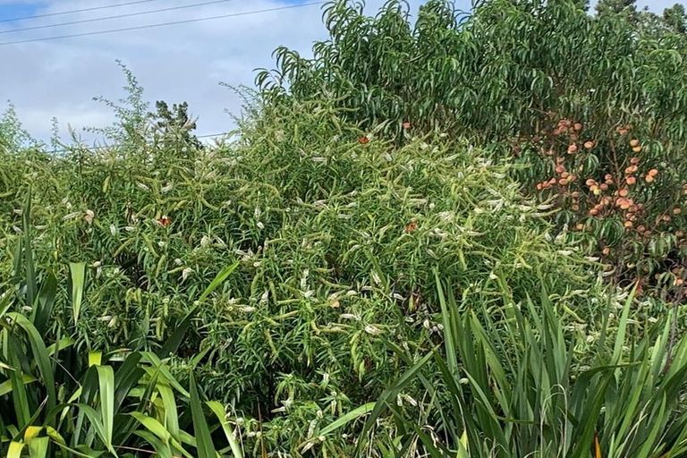 Photo of property in 66a Delhi Avenue, Aramoho, Whanganui, 4500