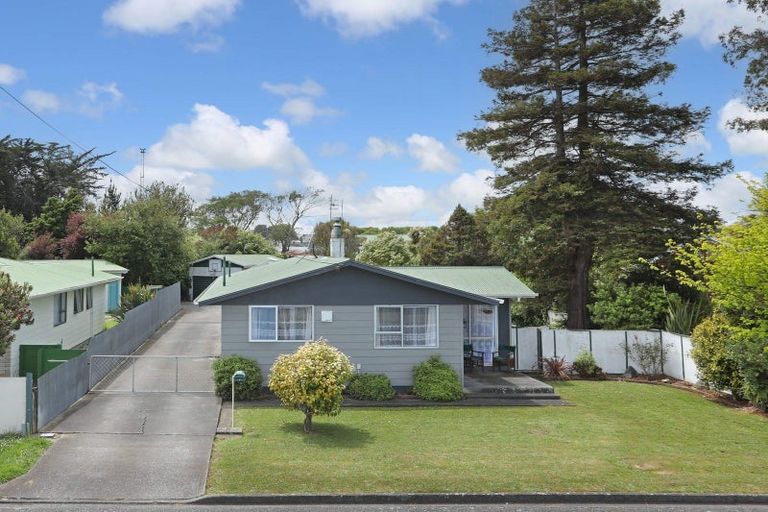 Photo of property in 19 Alexandra Street, Marton, 4710