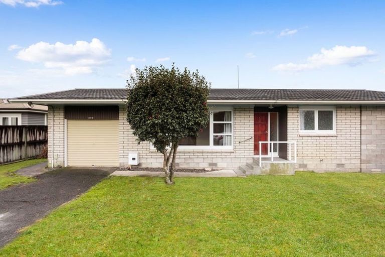 Photo of property in 163 Clarkin Road, Fairfield, Hamilton, 3214