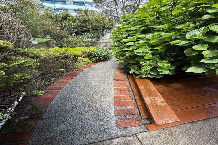 Photo of property in 21 Ohiro Road, Aro Valley, Wellington, 6021