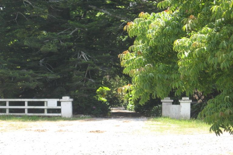 Photo of property in 53 Tuapiro Road, Tahawai, Katikati, 3170